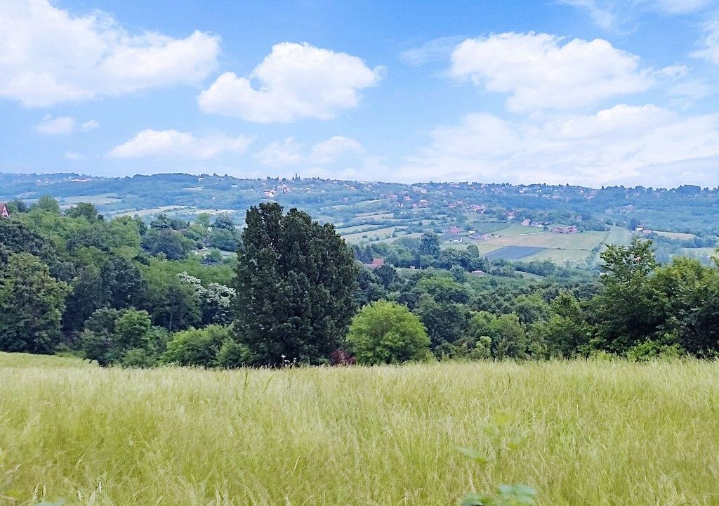 1686045918461_1024x768