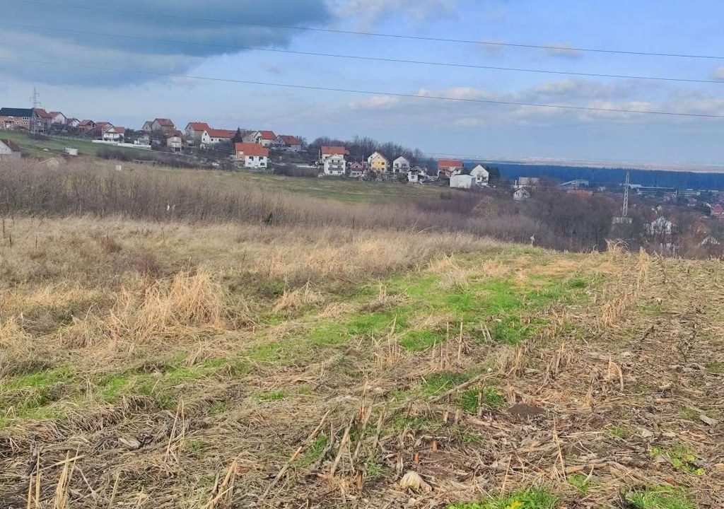 1703080581160_1024x768