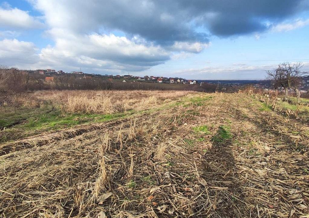 1703080581330_1022x768