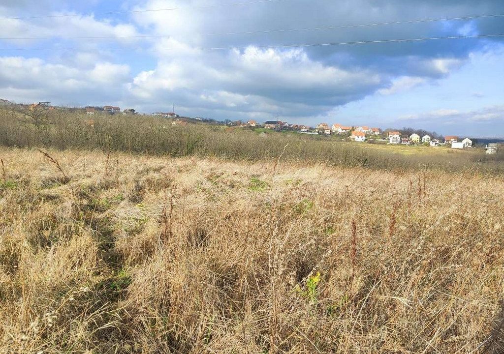 1703080581582_1024x768