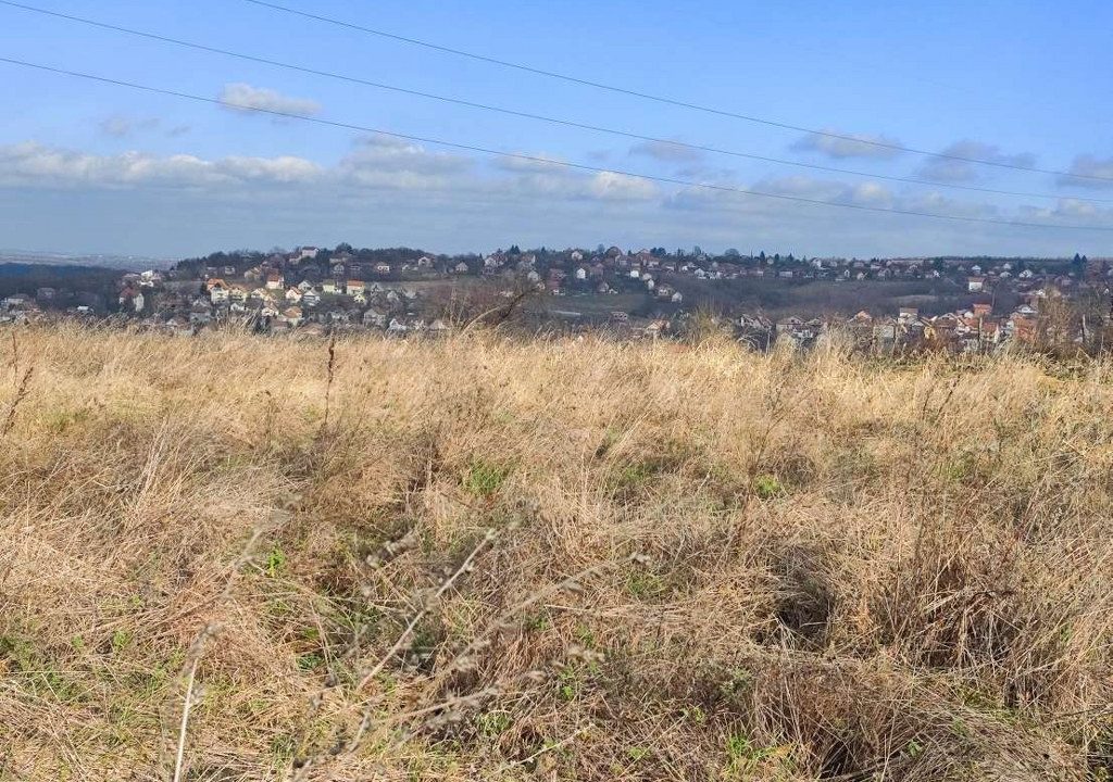 1703080581596_1024x768