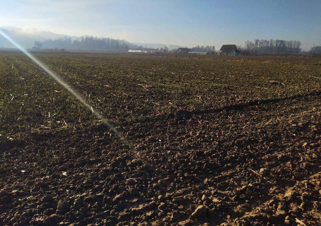 1703588556696_1024x768