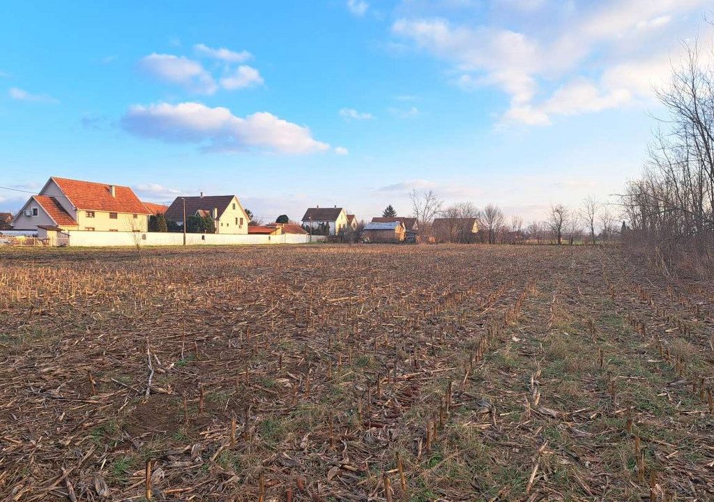 1706540834579_1024x768