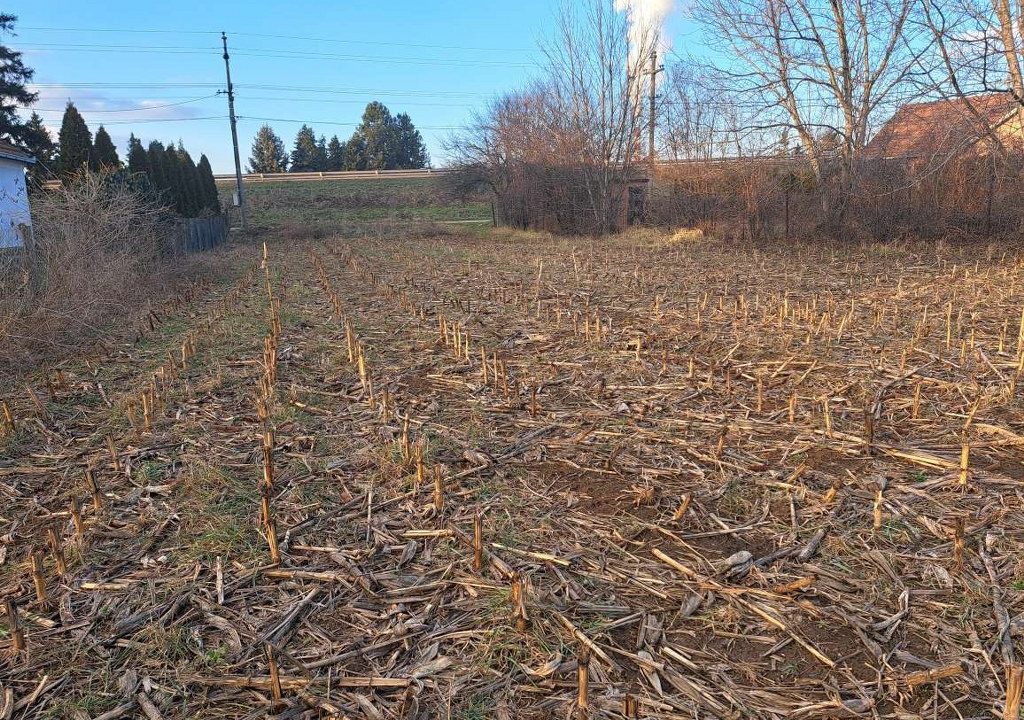 1706540835064_1024x768