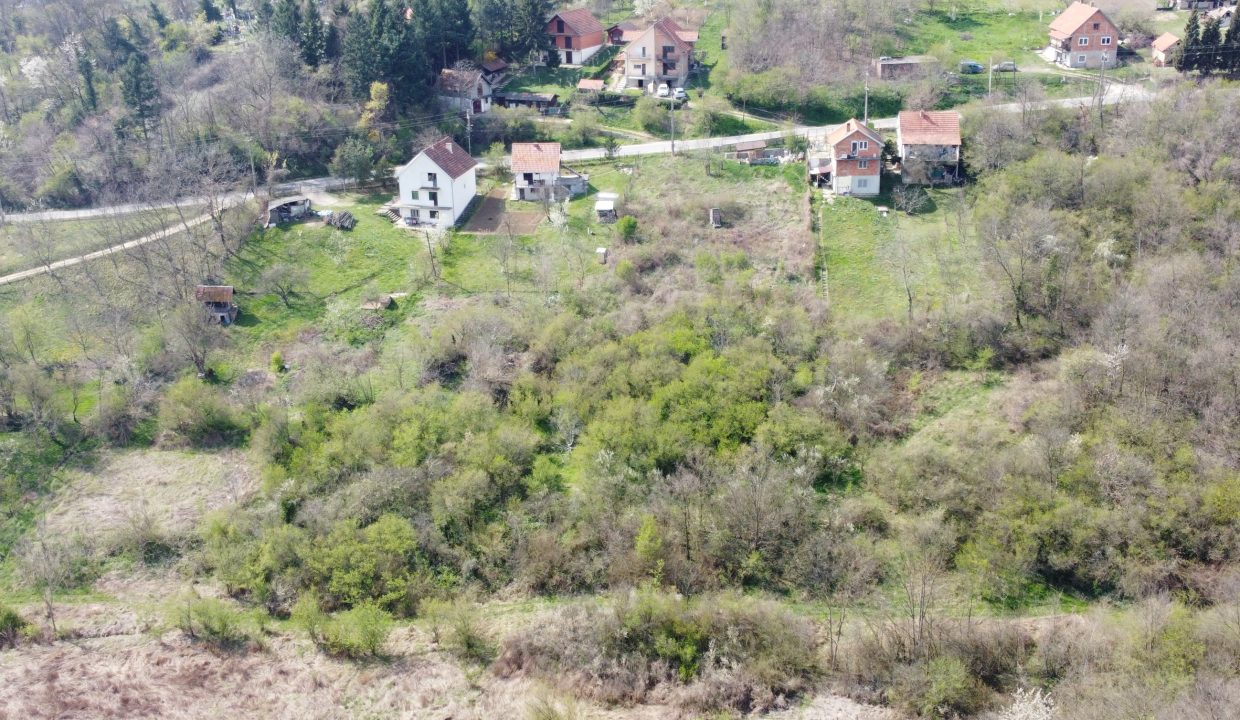 DCIM101MEDIADJI_0132.JPG