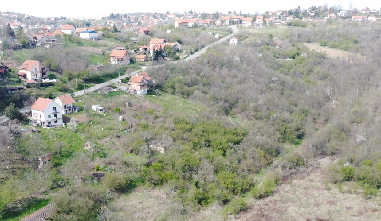 DCIM101MEDIADJI_0136.JPG