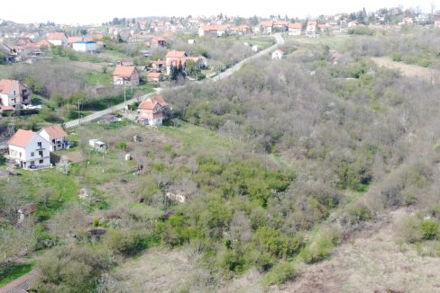 DCIM101MEDIADJI_0136.JPG