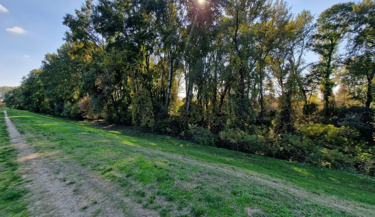 photo_2025-10-16_14-32-55