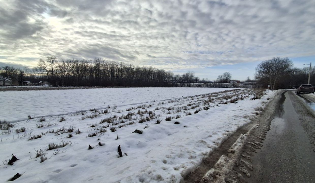 photo_2026-01-15_10-17-50