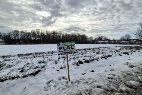 photo_2026-01-15_10-18-36