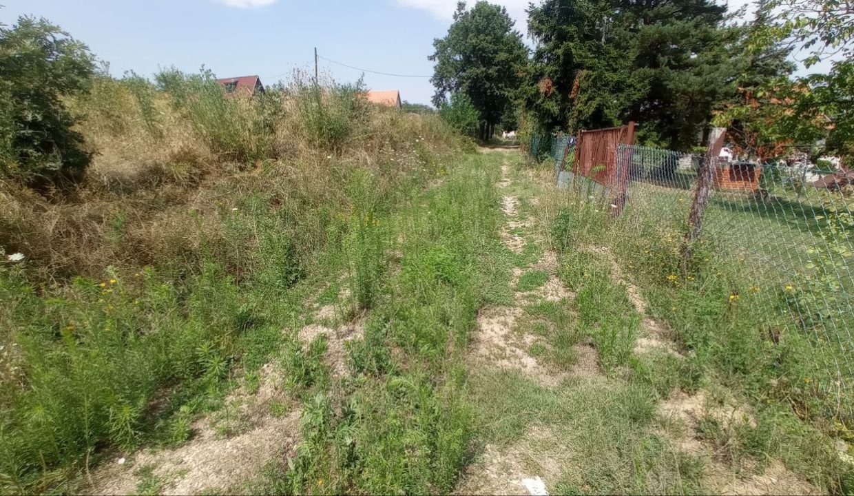 photo_2025-08-06_13-51-43