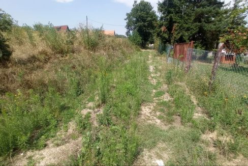 photo_2025-08-06_13-51-43