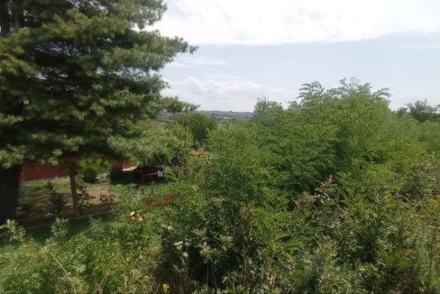 photo_2025-08-06_13-51-48