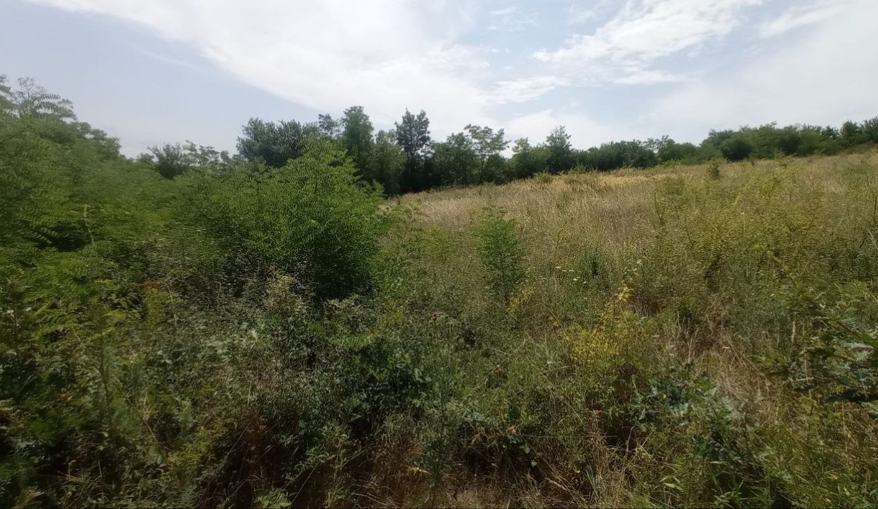 photo_2025-08-06_13-51-51