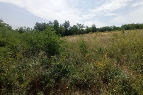 photo_2025-08-06_13-51-51