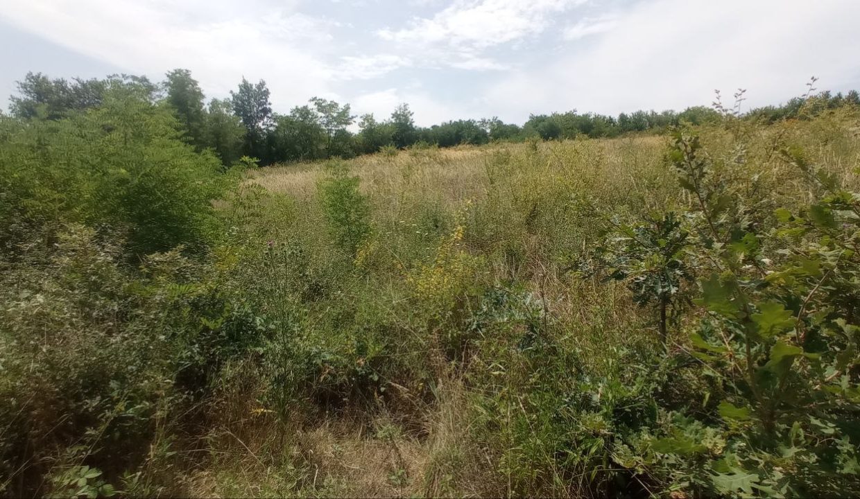 photo_2025-08-06_13-51-54