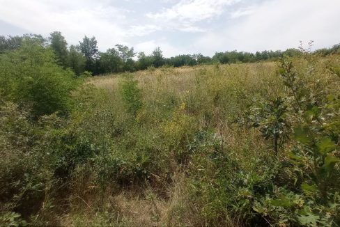 photo_2025-08-06_13-51-54