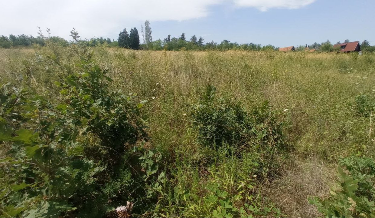 photo_2025-08-06_13-51-57