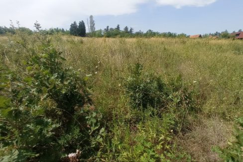 photo_2025-08-06_13-51-57