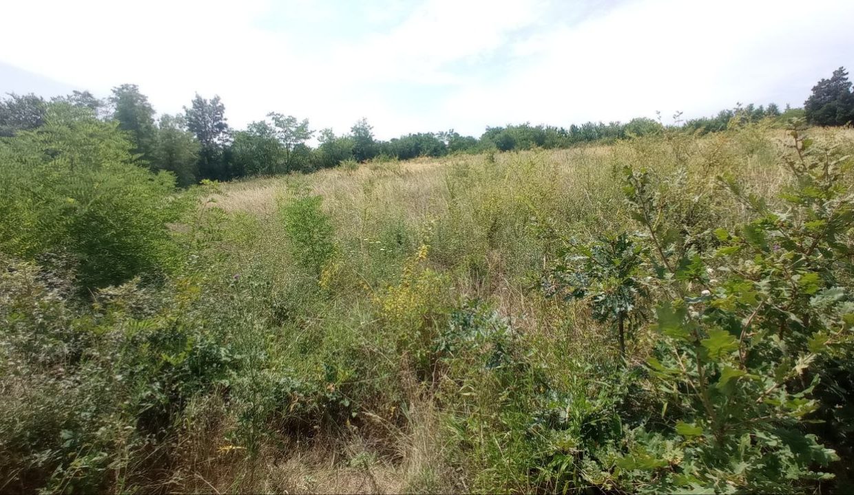 photo_2025-08-06_13-52-00