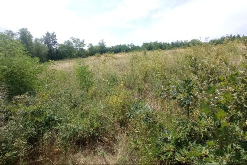 photo_2025-08-06_13-52-00