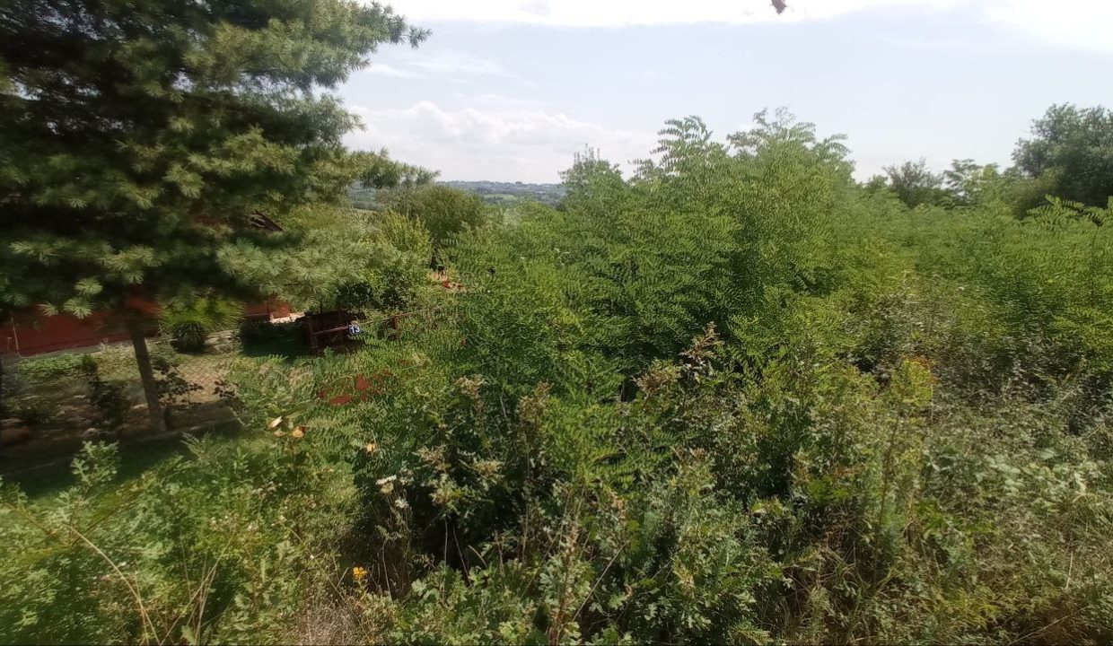 photo_2025-08-06_13-52-02