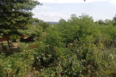 photo_2025-08-06_13-52-02