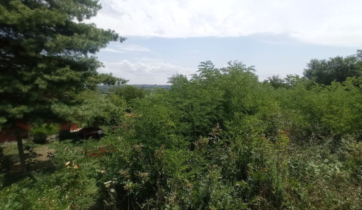 photo_2025-08-06_13-52-05