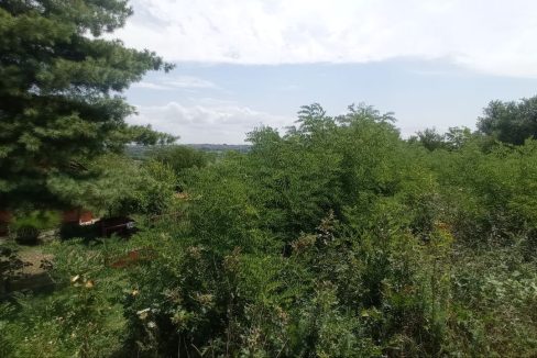 photo_2025-08-06_13-52-05