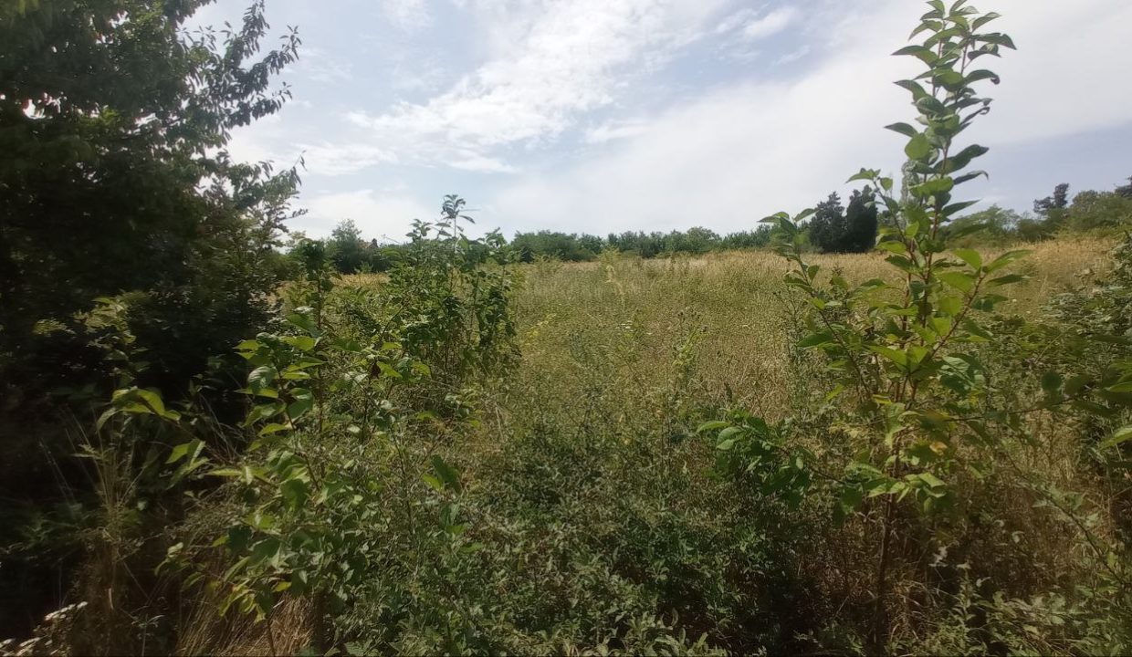 photo_2025-08-06_13-52-08