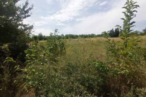 photo_2025-08-06_13-52-08