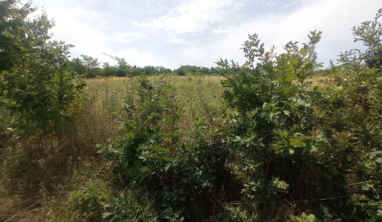 photo_2025-08-06_13-52-11