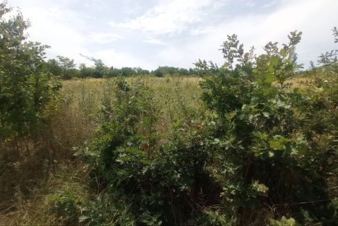 photo_2025-08-06_13-52-11