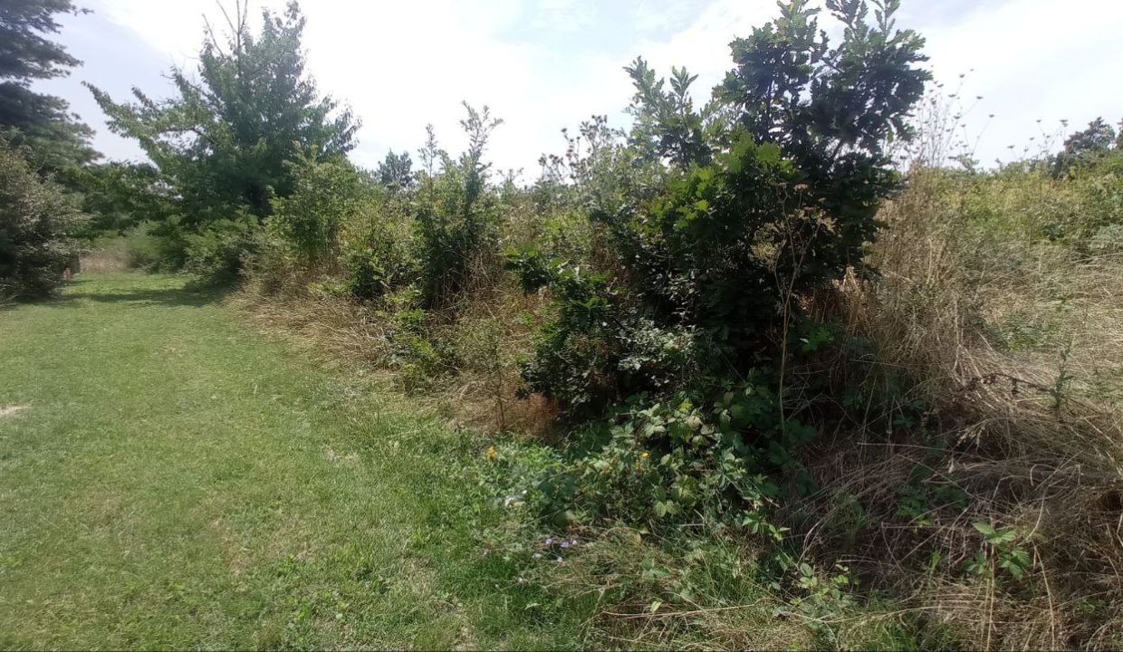 photo_2025-08-06_13-52-14