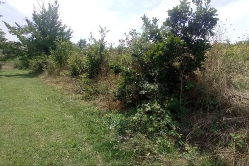 photo_2025-08-06_13-52-14