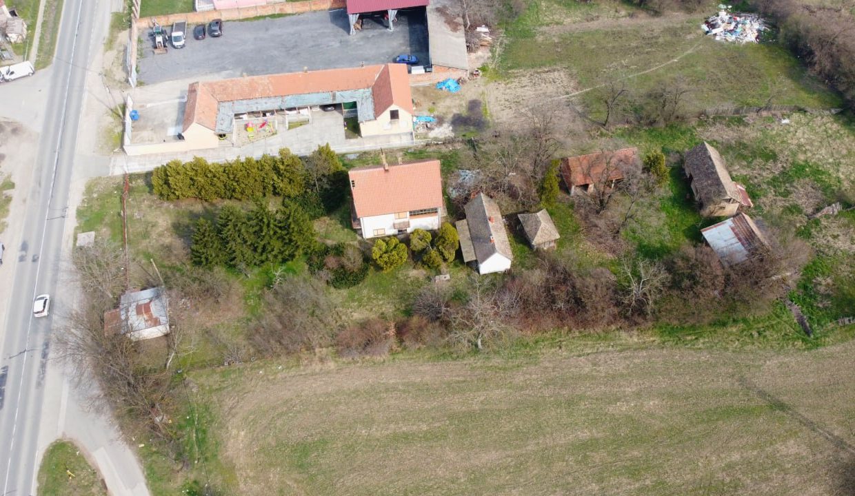 photo_2026-03-17_11-37-03