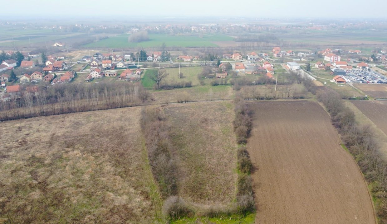 photo_2026-03-17_11-37-11