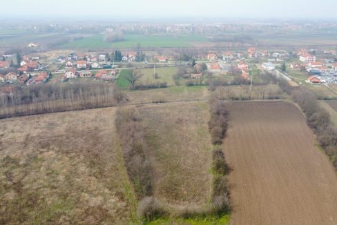 photo_2026-03-17_11-37-11