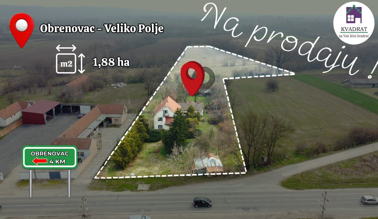 photo_2026-03-17_11-37-13