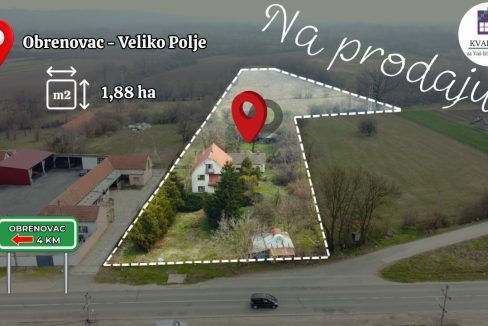 photo_2026-03-17_11-37-13