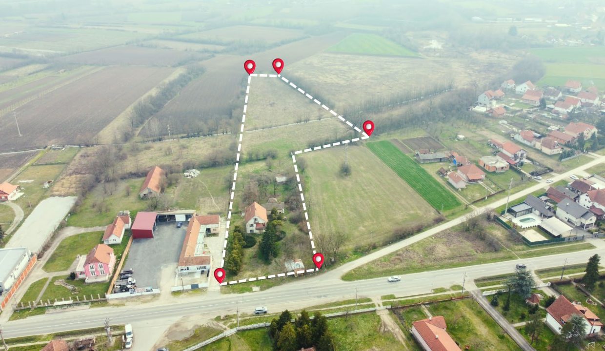 photo_2026-03-17_11-37-15