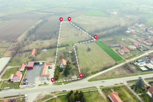 photo_2026-03-17_11-37-15