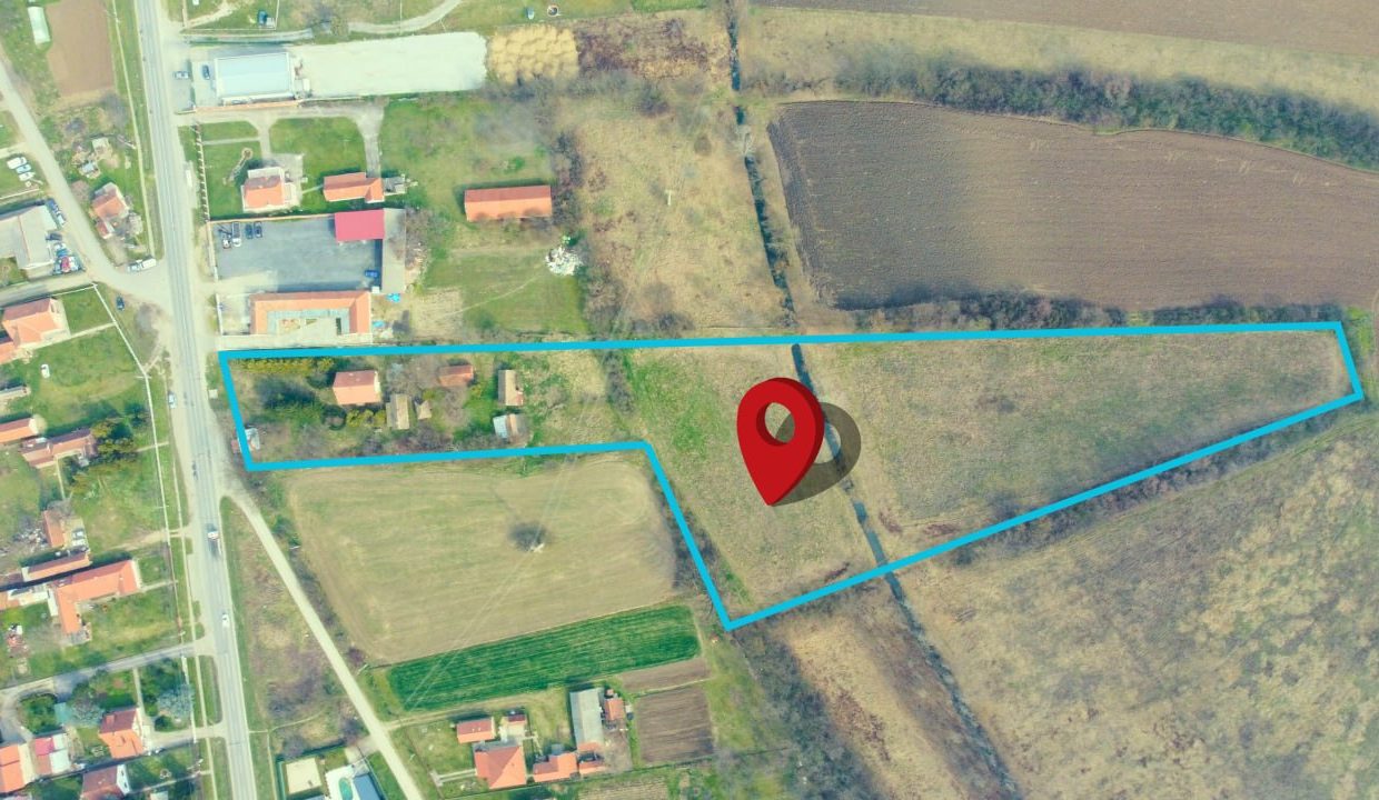 photo_2026-03-17_11-37-20