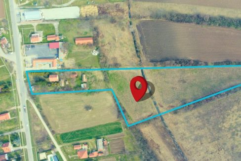 photo_2026-03-17_11-37-20