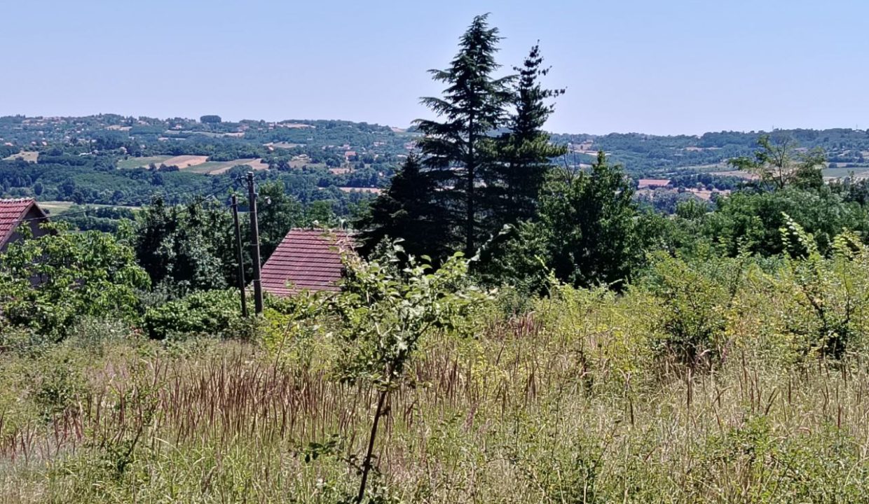 photo_2025-06-24_13-16-11