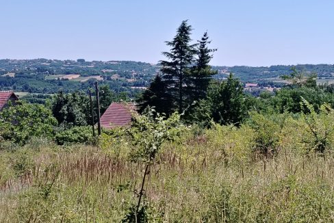 photo_2025-06-24_13-16-11