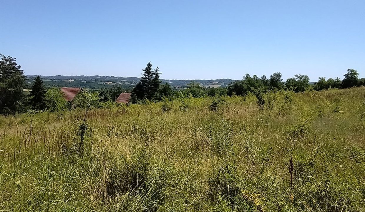 photo_2025-06-24_13-16-15