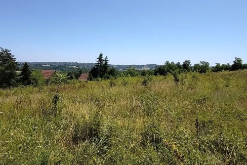 photo_2025-06-24_13-16-15