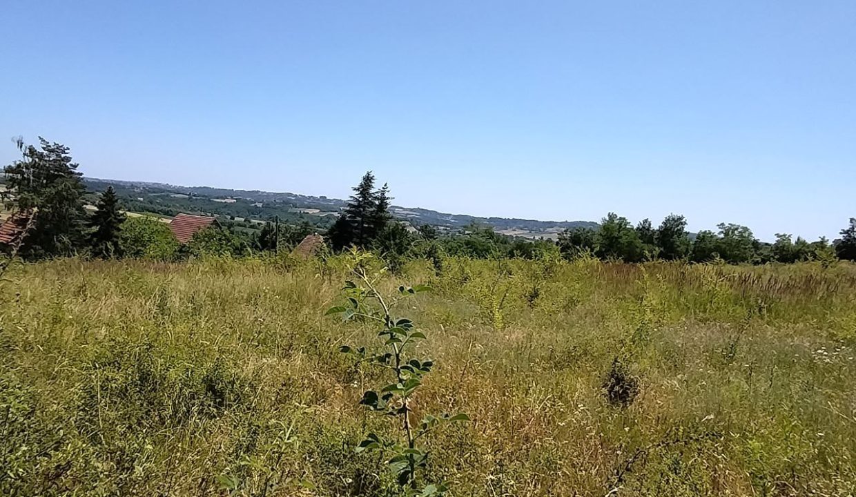 photo_2025-06-24_13-16-18