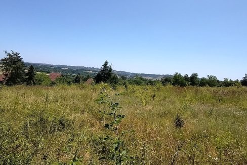 photo_2025-06-24_13-16-18